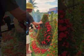 Secrets to Perfect Pasta: Master Italian Cuisine at Home