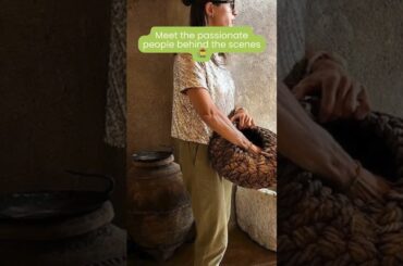 Olive Oil Tasting in Verona [Italy Travel 2026]