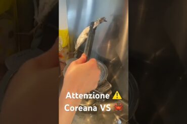 CoreanaVS 🦀 #italy #korea #food #love #sushi #food