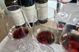 Barolo Wine Region 🇮🇹 Italy’s King of Wines, and the Wine of Kings