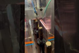 Follow along on the bottling line in Italy! #bottlingline #wineproduction #winery #italy