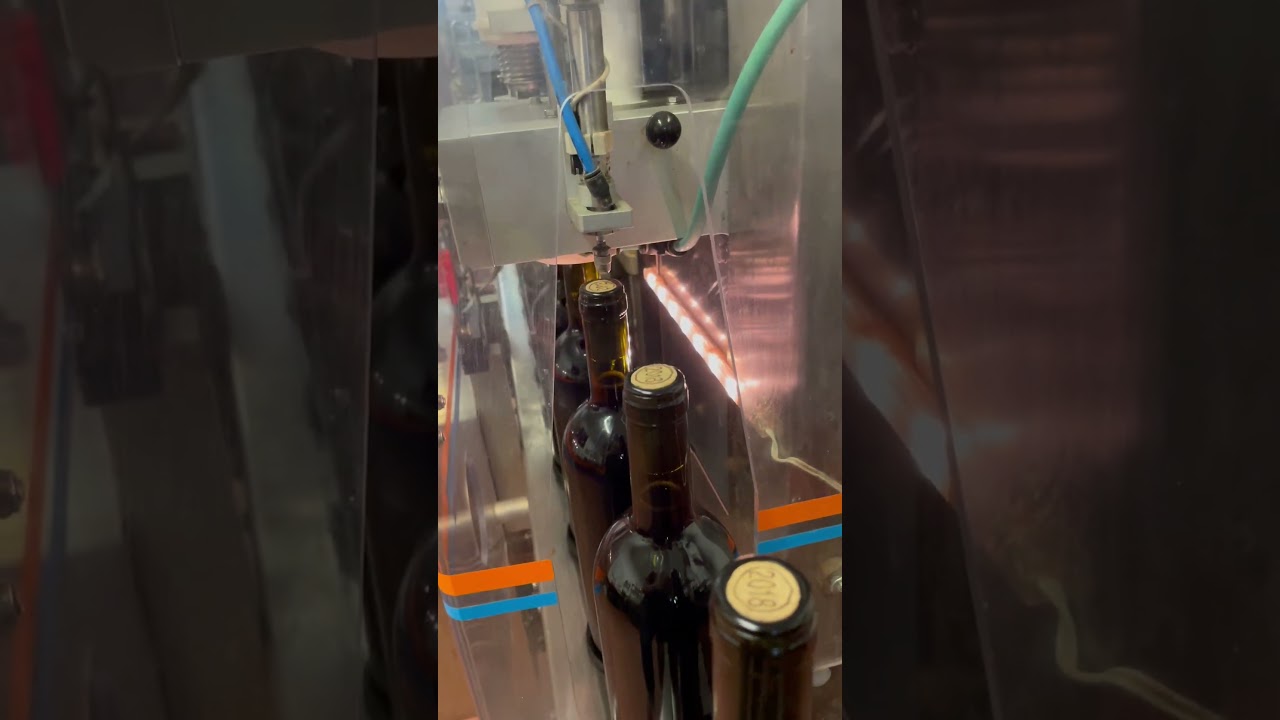 Follow along on the bottling line in Italy! #bottlingline #wineproduction #winery #italy Follow along on the bottling line in Italy! #bottlingline #wineproduction #winery #italy
