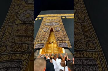 Phool Khilte Hain padh padh ke chalne wala  ❤️💯 #love #food #bellydance #dubaiart #italy