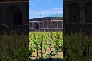 Ancient Roman Amphitheater x Pink Floyd