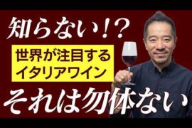 私が大好きなおすすめイタリアワイン！ワインが好きなら知っておくべき銘柄です！