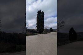 Montepulciano Italy like y comenta!! #beautiful#viral#food#vino#wine#viral m#love#goodvibes#wow