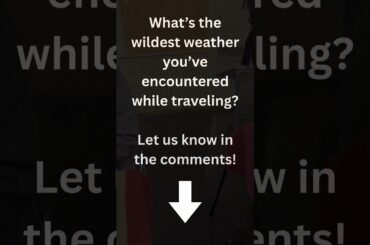 We Ordered Dinner  Rome Delivered Hail!