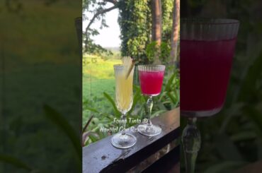 Forno Tinto for best Goan-Italian fusion food!