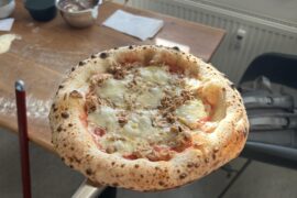 Temp setting for NY Stlye Pizza | Effeuno PH134