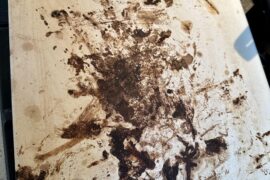 Is my pizza stone going to affect my future pizzas?