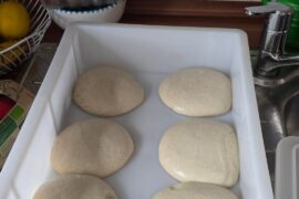 Pizzateiglinge nach 24h Stockgare im Kühlschrank