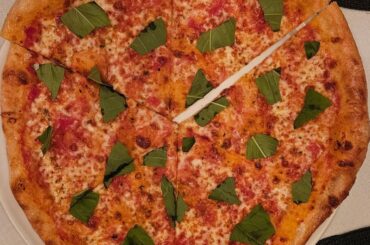 Pizzas I made for a pizza party last night (plain cheese + basil, mushroom, shrimp scampi, veggie pesto)