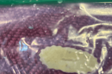 What Type of Pasta is This?