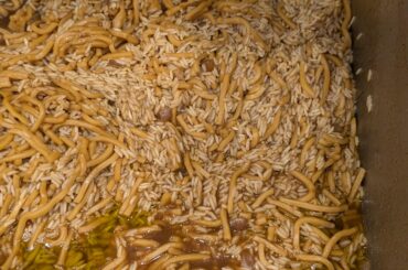 Rice noodles anyone?