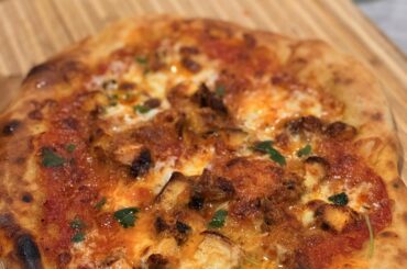 first sourdough pizza normal oven