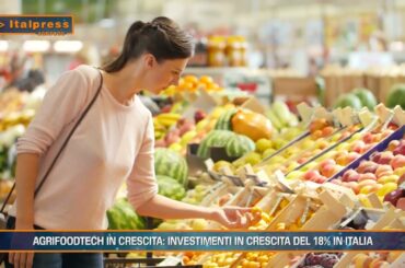 Agricoltura, vino, Made in Italy, birra, AgriFoodTech - Agrifood Magazine