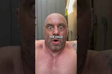 Joe Rogan on Food Differences in Italy