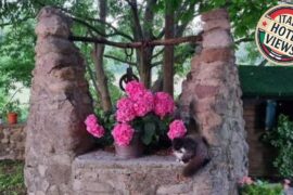 Agriturismo Case in Collina | Valeggio sul Mincio, Italy | Hotel Review 🏩