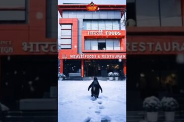 "BHARTI FOODS RESTAURANT" #tasty #food #delicious 8218408107#dinner #italian #penguin  #cuisine