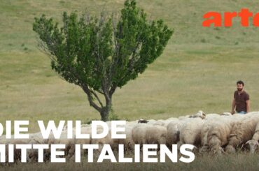 Marken | Italien, meine Liebe | ARTE Fernweh