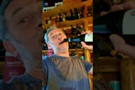 Wine Life at Wiki Hostel | Wine Escape 2026