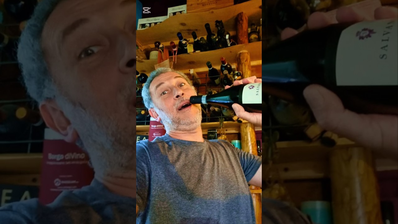 Wine Life at Wiki Hostel | Wine Escape 2026 Wine Life at Wiki Hostel | Wine Escape 2026