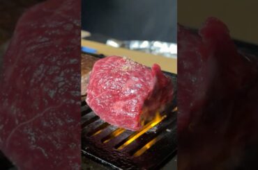 Tajima Wagyu Ichibo 🇯🇵 Yakiniku in Osaka