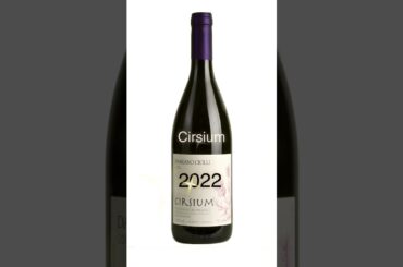 𝗠𝗼𝗻𝘁𝗲 𝗥𝗲𝘁𝗮𝗳𝗮𝗻𝗶 & 𝗗𝗮𝗺𝗶𝗮𝗻𝗼 𝗖𝗶𝗼𝗹𝗹𝗶 🍇I vini in degustazione