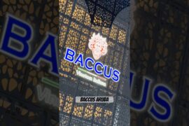 Vinoteca Italiana Baccus Aruba