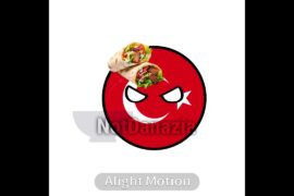 Food from countries #turkey #quebec #italy #food #fyp