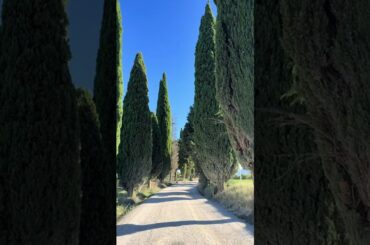 Day 4 of 15 in Italy! Who needs a souvenir when you could... #Shorts #thegetaway.girl