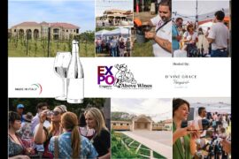 Above Wines EXPO - Spring 2025 Video Recap #1