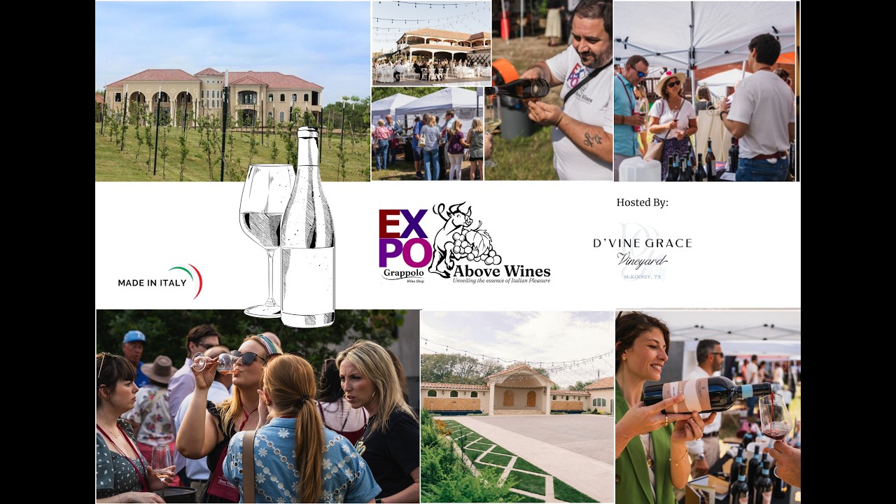 Above Wines EXPO – Spring 2025 Video Recap #1 Above Wines EXPO - Spring 2025 Video Recap #1