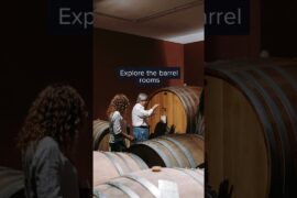 Winery visit in Catania [Italy Travel 2026]