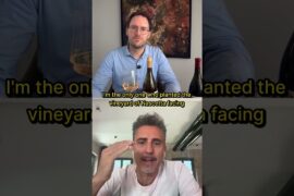 How Italy Saved a Dying Grape From Extinction #wine #italy #restoration