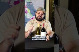 Premium Puglia Tasting with Luigi: Bold Southern Italian Wines