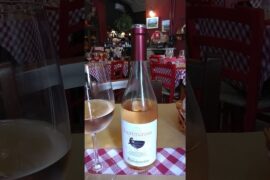 Enjoying Italian rosé (wine) at charming restaurant in Turin