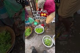 ৪০ টাকার লেবু ১০০ টাকা  হইছিল এইটায় বাঙালি 🥲 #marufvaivlogs #bangladesh #lemon