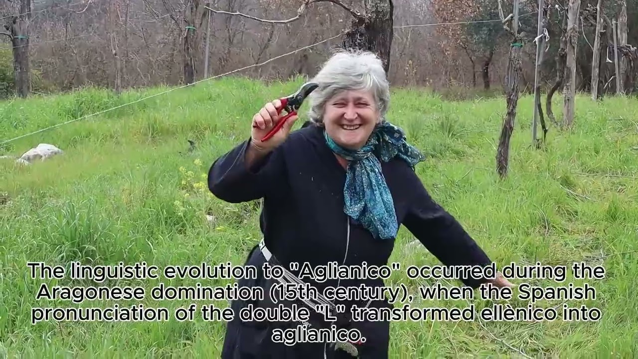 A Special Day for Our Winery 🍷 New Cellar & Winter Pruning 🍇 A Special Day for Our Winery 🍷 New Cellar & Winter Pruning 🍇