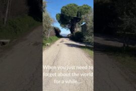 When you just need to forget about the world for a while #expatsinitaly #livinginitaly #nature