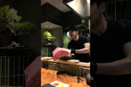 Wagyu Tartare from Omi Topside 🥩 Osaka Omakase