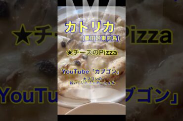 【小さなイタリアンのお店♪】「カトリカ」東京都墨田区東向島♪カブゴンのグルメ動画  #グルメ #ピザ #パスタ #イタリアン #カトリカ #墨田区 #shorts