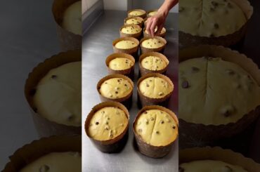 Italy's famous paneton bread