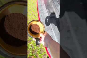 Solar COFFEE overlanding in Italy in my Toyota 4Runner! Finally a sunny day ❤️