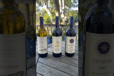 Tasting The Soon to be Released Wines of Tenuta San Guido - Starting With Le Difese 2024