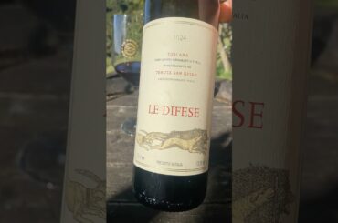 Tasting Le Difese 2024 from Tenuta San Guido - A Great Value Tuscan I.G.T.