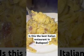 Trying the best restaurants in Budapest.