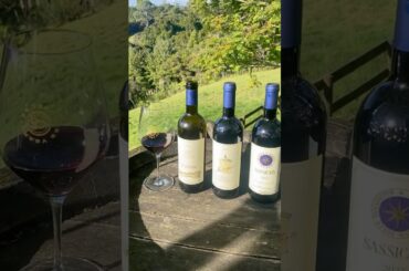 Tasting an Exciting Trio of Wine from Bolgheri - Le Difese 2024, Guidalberto 2024 and Sassicaia 2023