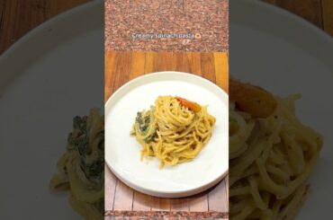 One Pan Creamy Tomato Basil Pasta 🍝 | Easy 15 Minute Pasta Recipe.