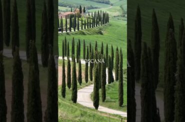 Toscana 🇮🇹 | Italy’s Most Dreamy Countryside ✨ #wanderlust #travelshorts #travel #europetravel